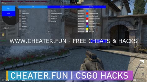 cheater fun wallhack.